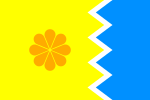 Flag of Viña del Mar, Chile